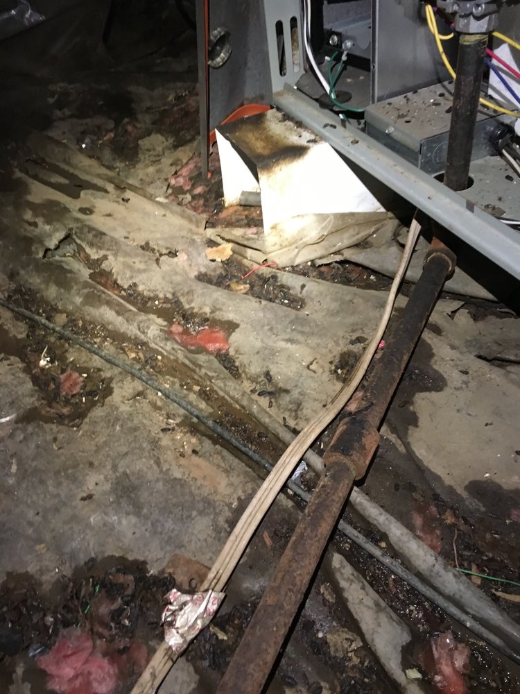 image of business Repipe Champions