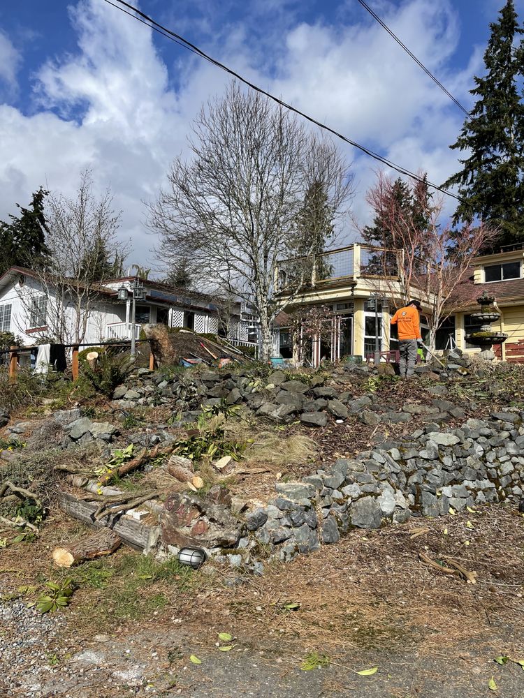 R&P Landscaping Maintenance General Cleaning Irrigation