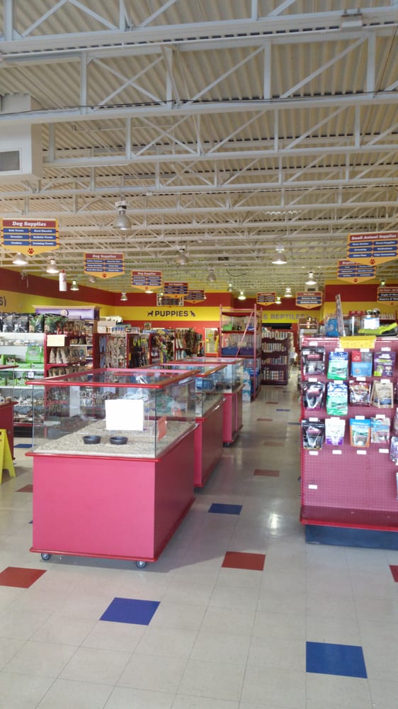 pet depot pet stores 217 grant ave auburn ny united pet depot pet stores 217 grant ave auburn ny united