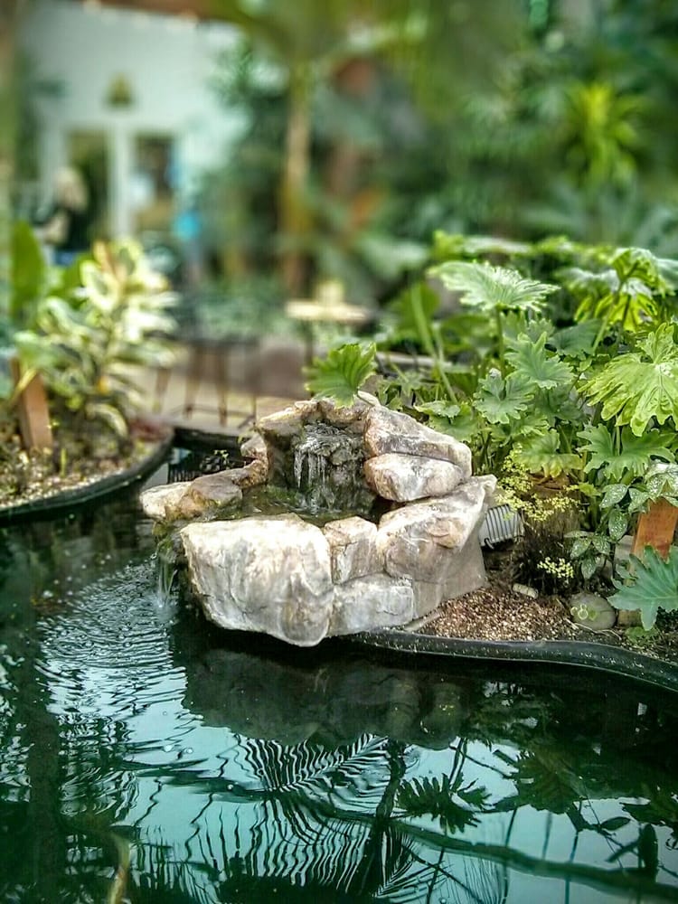 Swansons Nursery 165 Photos & 177 Reviews Nurseries & Gardening