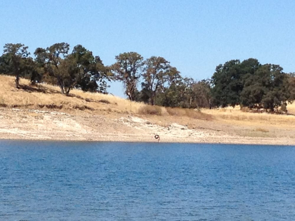 Photos for Lake Camanche North Shore Yelp