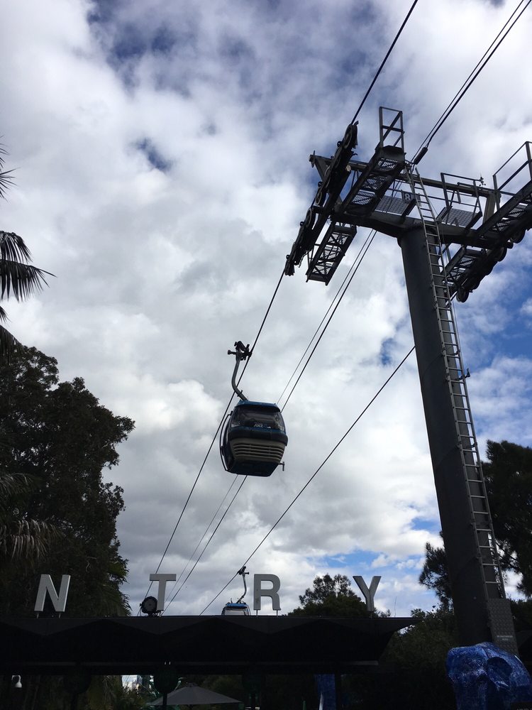 Visitor's Guide to the Famous Taronga Zoo in Sydney