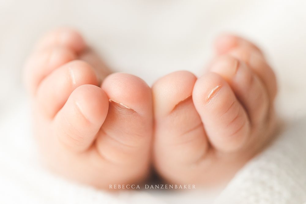 Rebecca Danzenbaker Photography