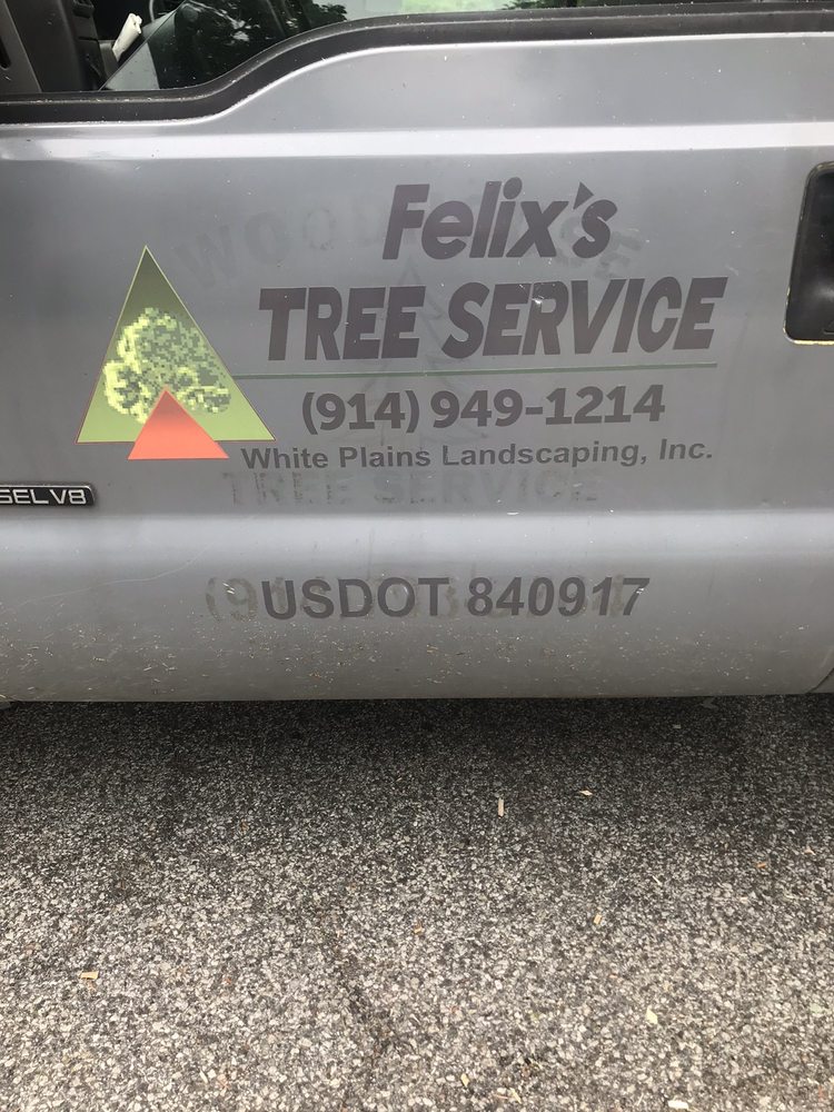 Felix Tree Service