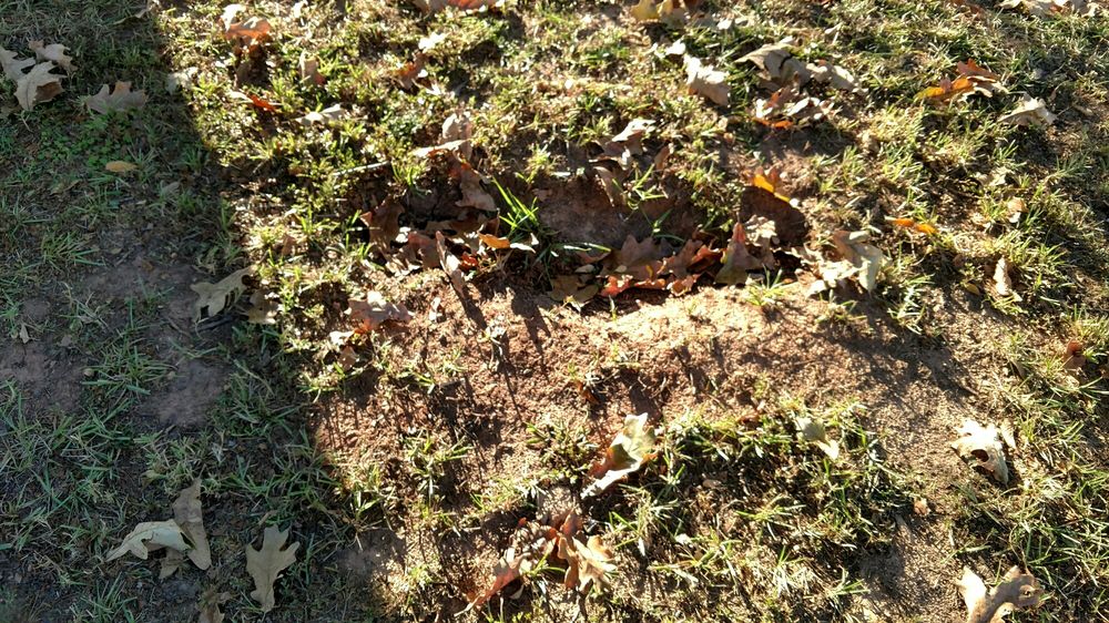 image of business Deviney Construction Company