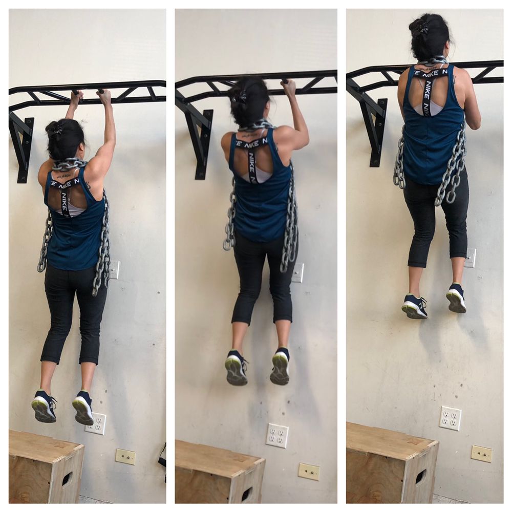 The Fitness Tech