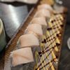 Spiral Japanese Cuisine gift card