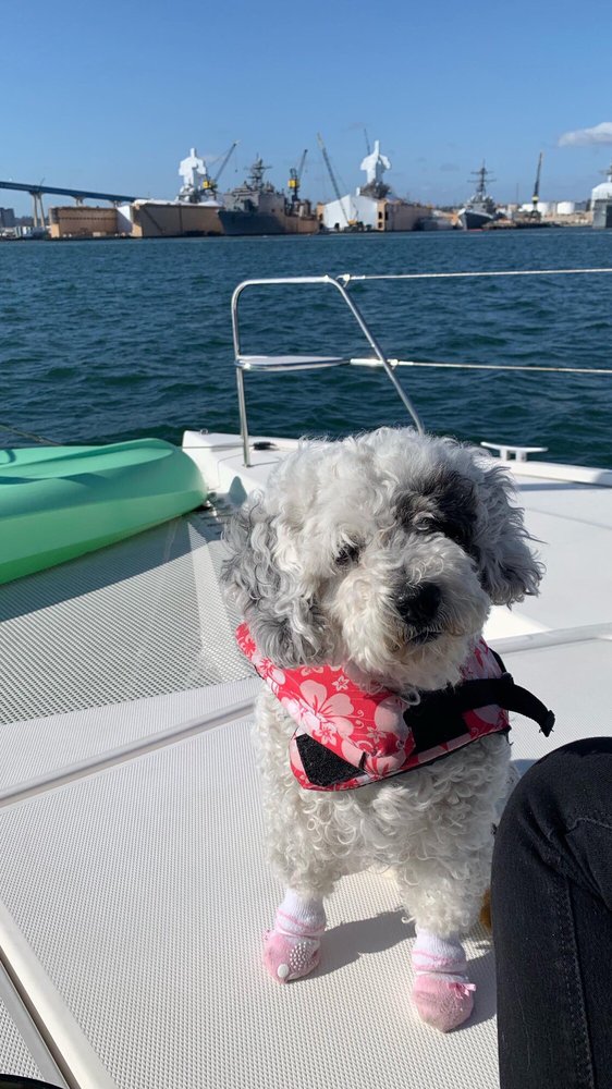 San Diego Catamarans