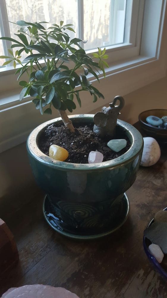 Longfellow’s Greenhouses Nurseries & Gardening 81 Puddledock Rd