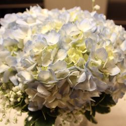 Christy S Florist 10 Photos Reviews Florists 415 Rt 18 Photo Of Christy S Florist East Brunswick Nj United States Beautiful Hydrangea And