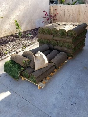 West Coast Turf 1365 Descanso Ave San Marcos Ca Landscaping Mapquest