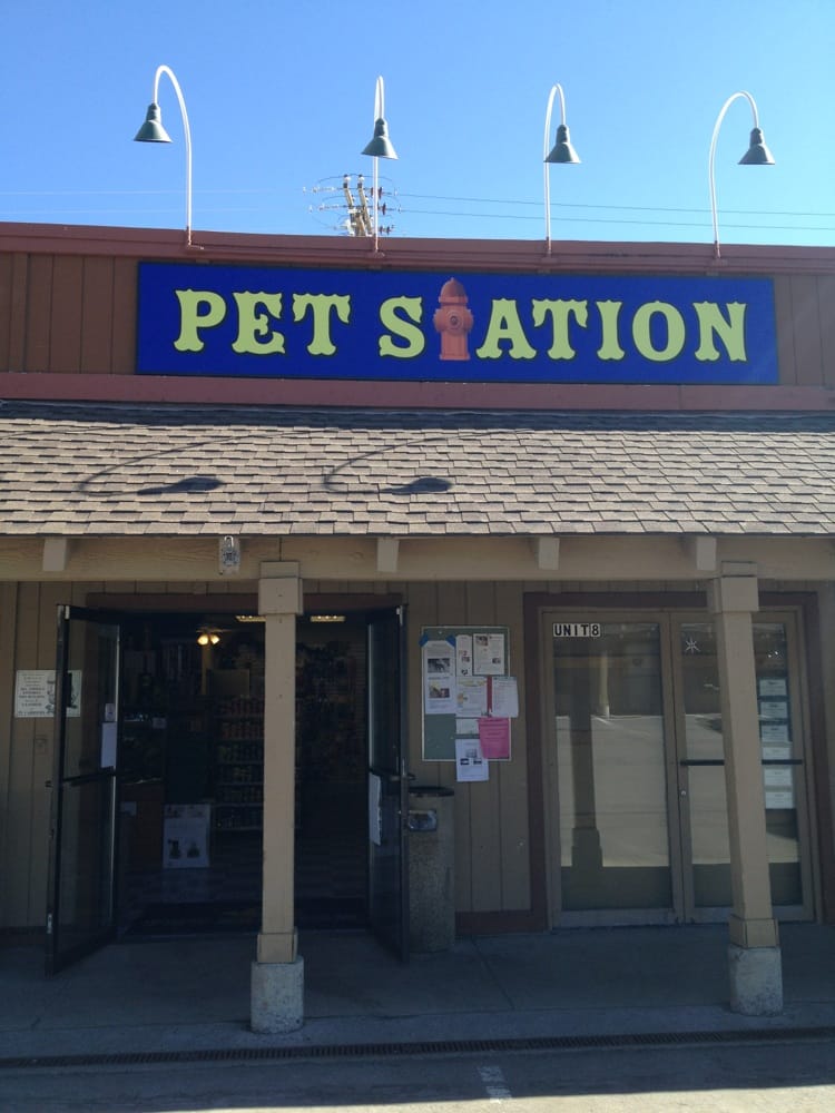 pet station 23 reviews pet stores 11429 donner pass pet station 23 reviews pet stores 11429 donner pass