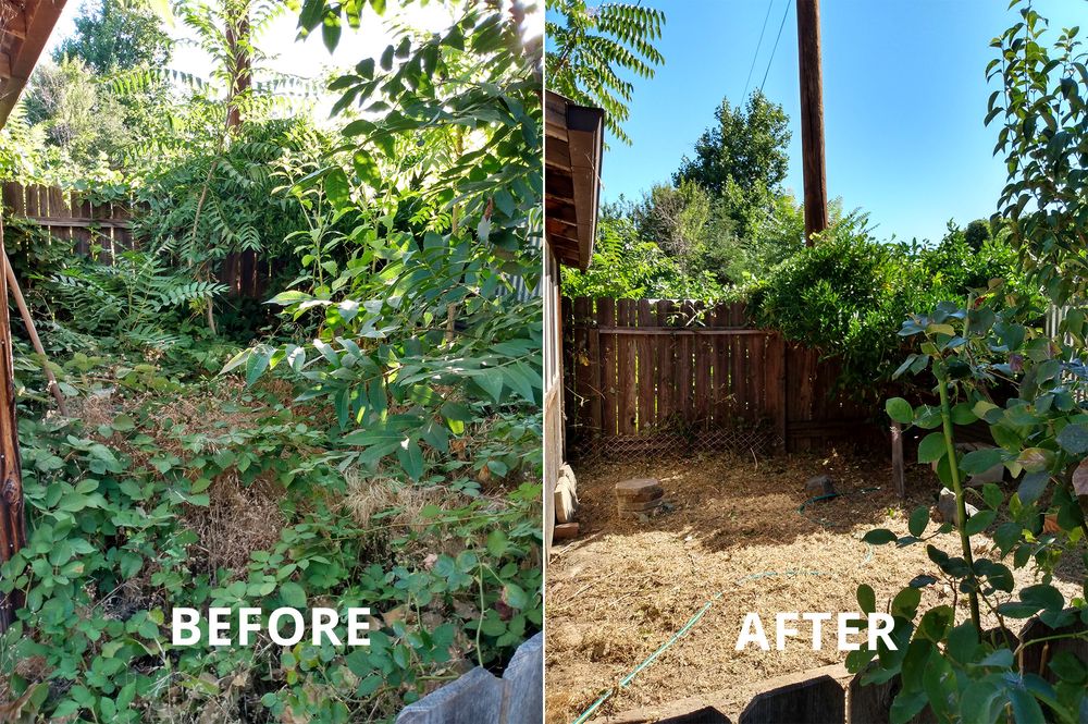 Cut And Trim Yard Service