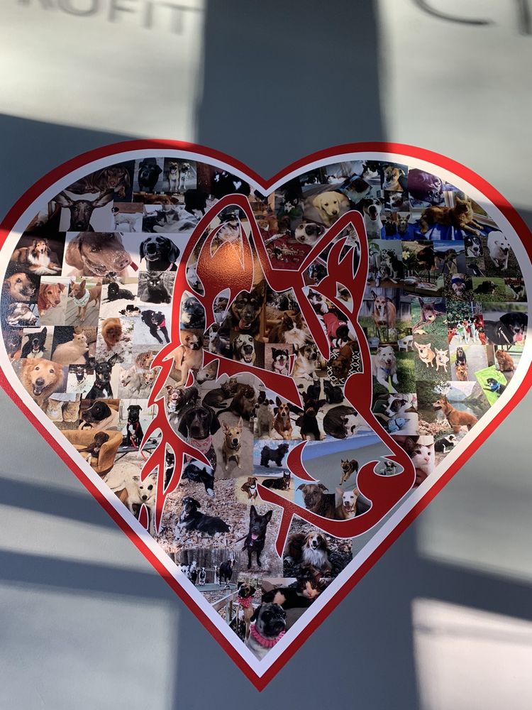 Dingo Dog Brewing Company