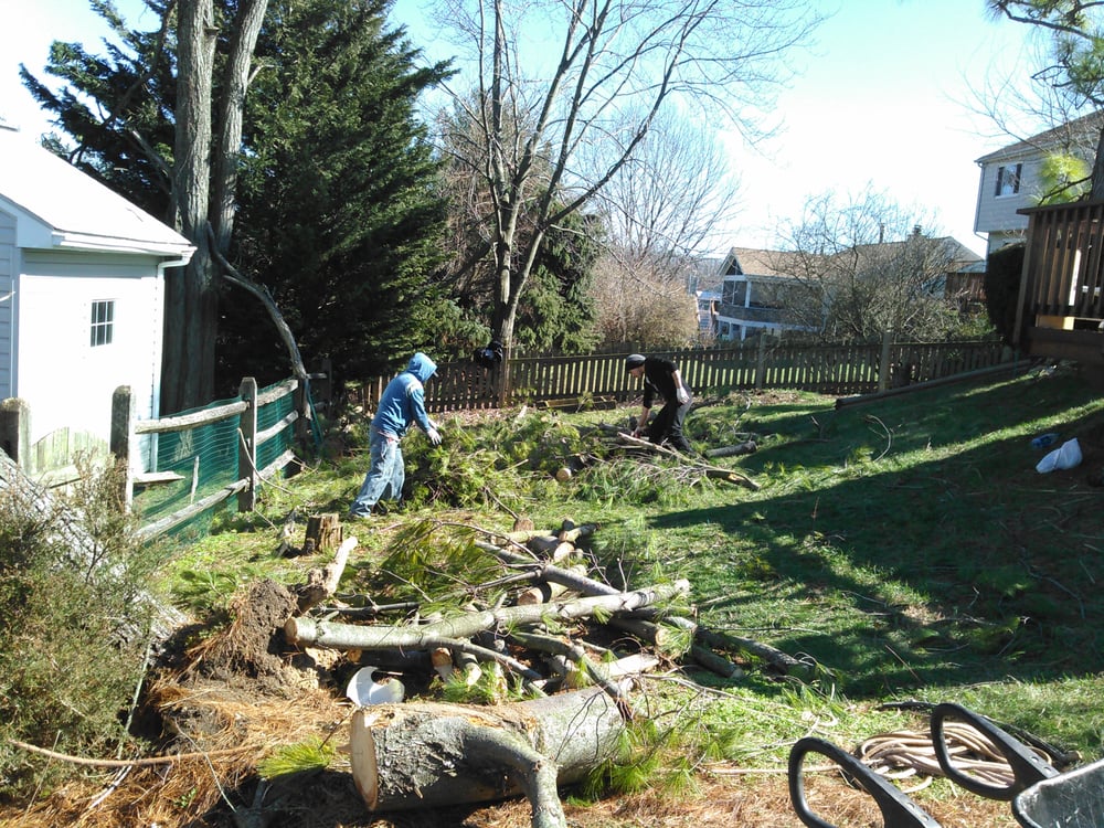 Internet Tree Service
