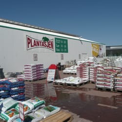 plantasjen pinse plantasjen pinse