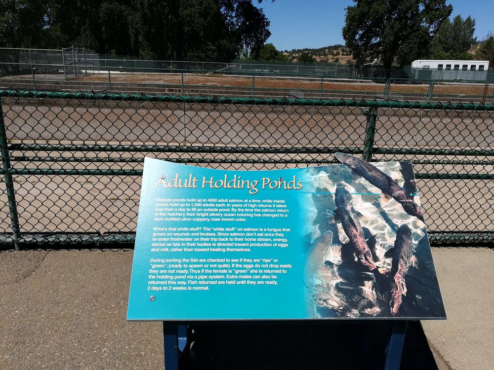 Coleman National Fish Hatchery