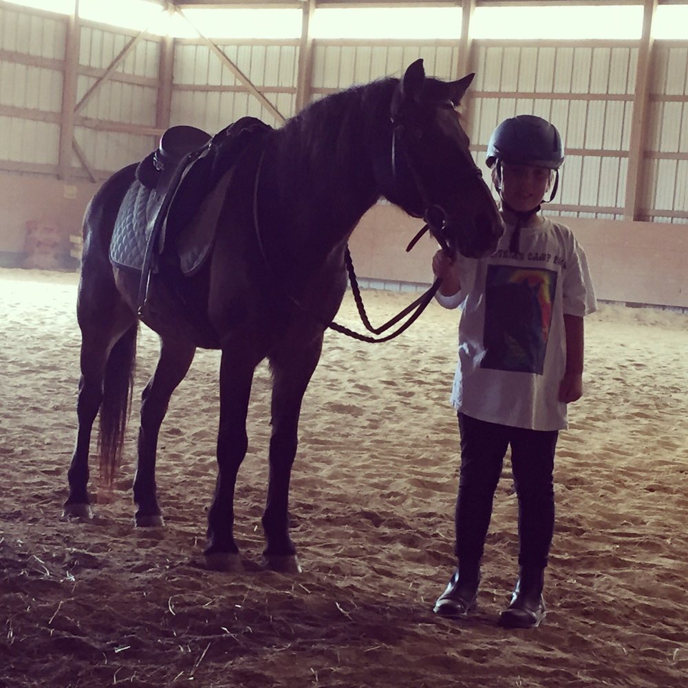 Kings Valley Stables