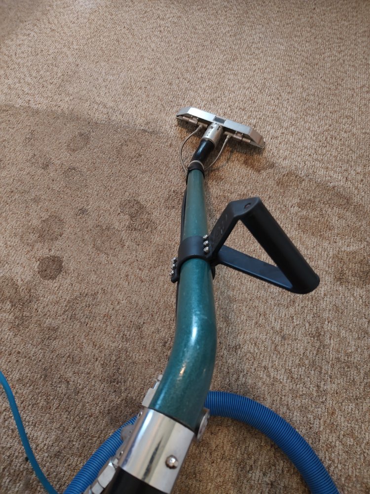 As Clean As It Gets Carpet Cleaning