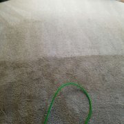 Masterclean Carpet Upholstery Cleaning 32 Photos Spot Check