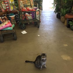 Burkard Nurseries Closed 52 Reviews Gardening Photo Of Burkard Nurseries Pasadena Ca United States