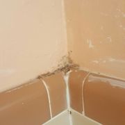 Grand Prix Motel 13 Photos 15 Reviews Hotels 2017 S Atlantic Photo Of Grand Prix Motel Daytona Beach Fl United States