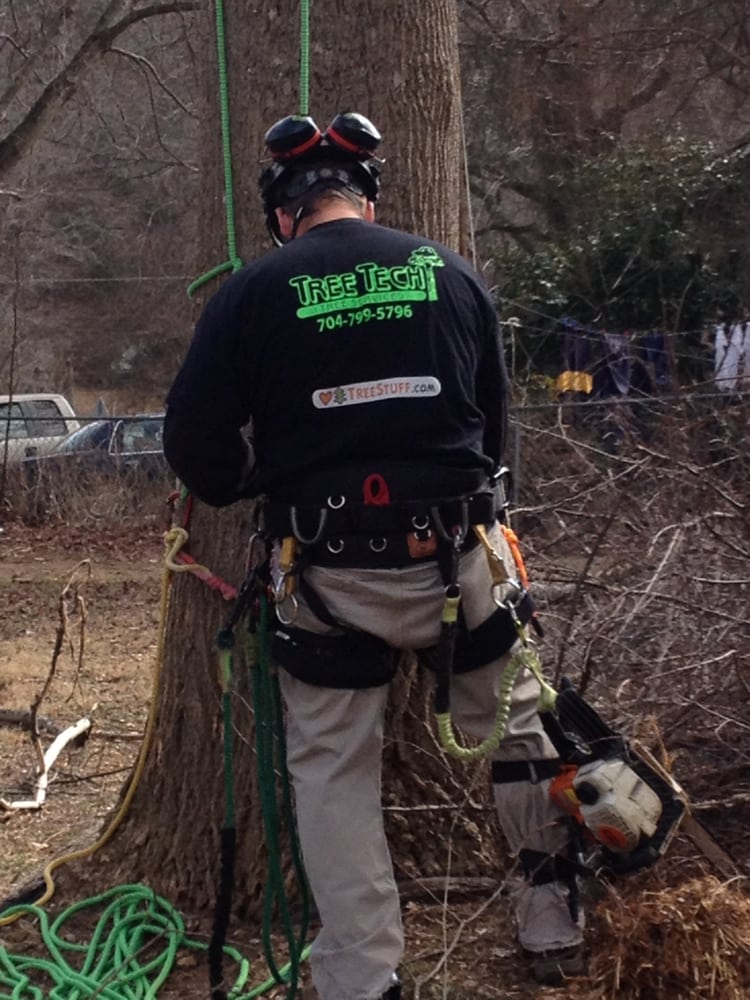 Tree Tech Tree Service