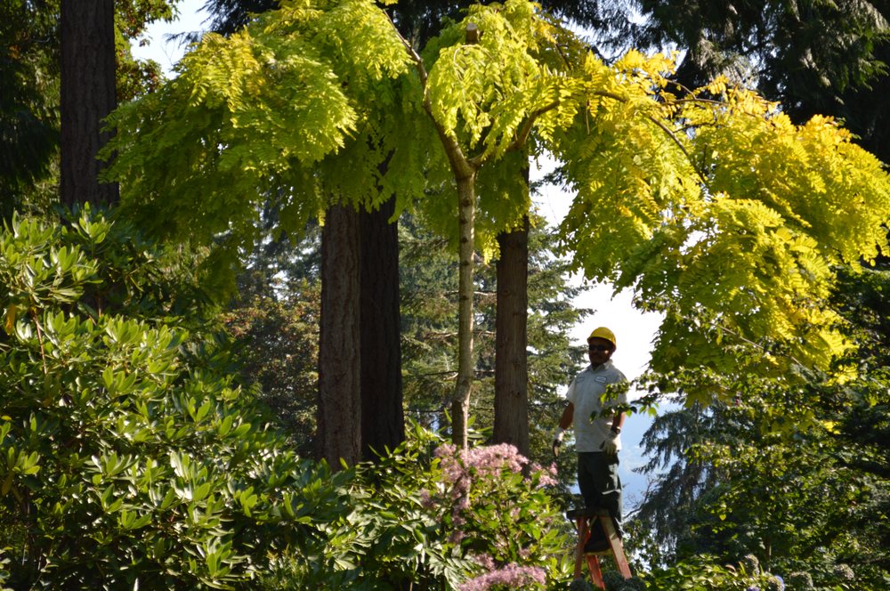 Classic Grounds Care