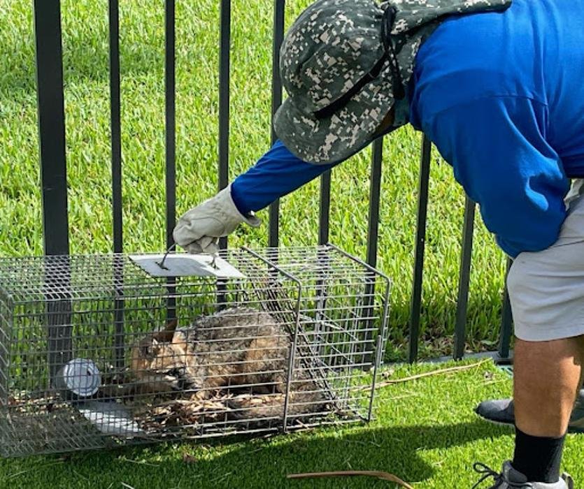 Atlantic Pest Control