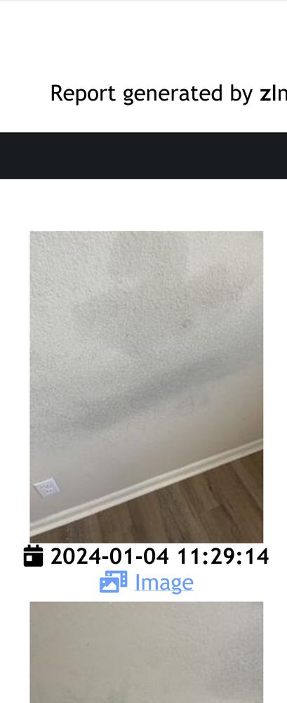 Nest Managers Real Estate