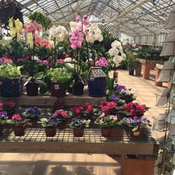 Williams Nursery - 14 Photos & 10 Reviews - Nurseries ...