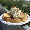Little Lion Ice Cream