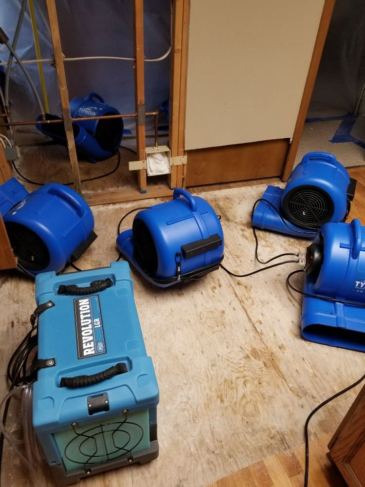 Restoration 1 of South Sound