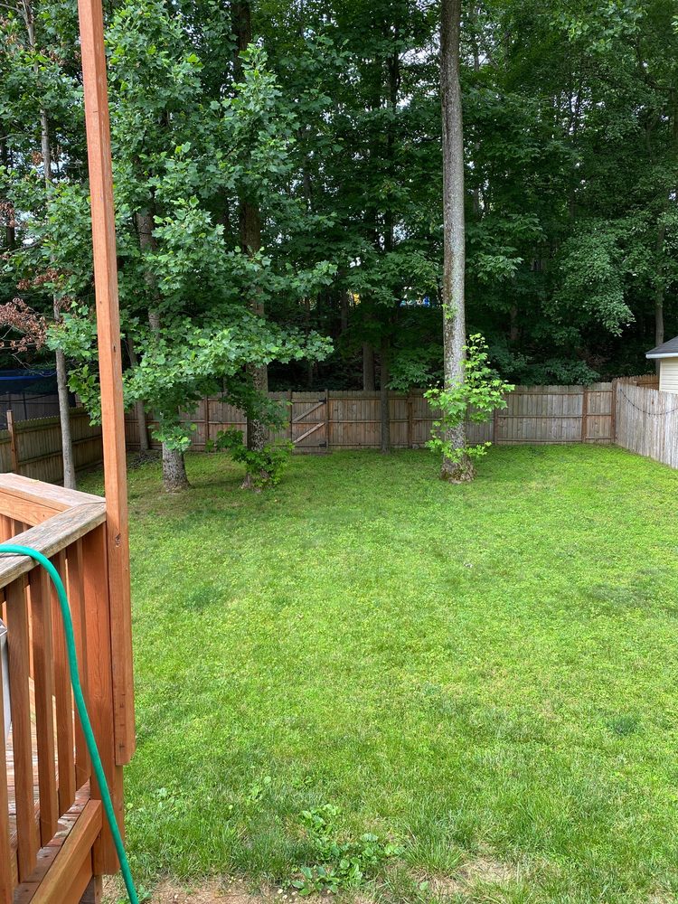 American Rose Landscaping