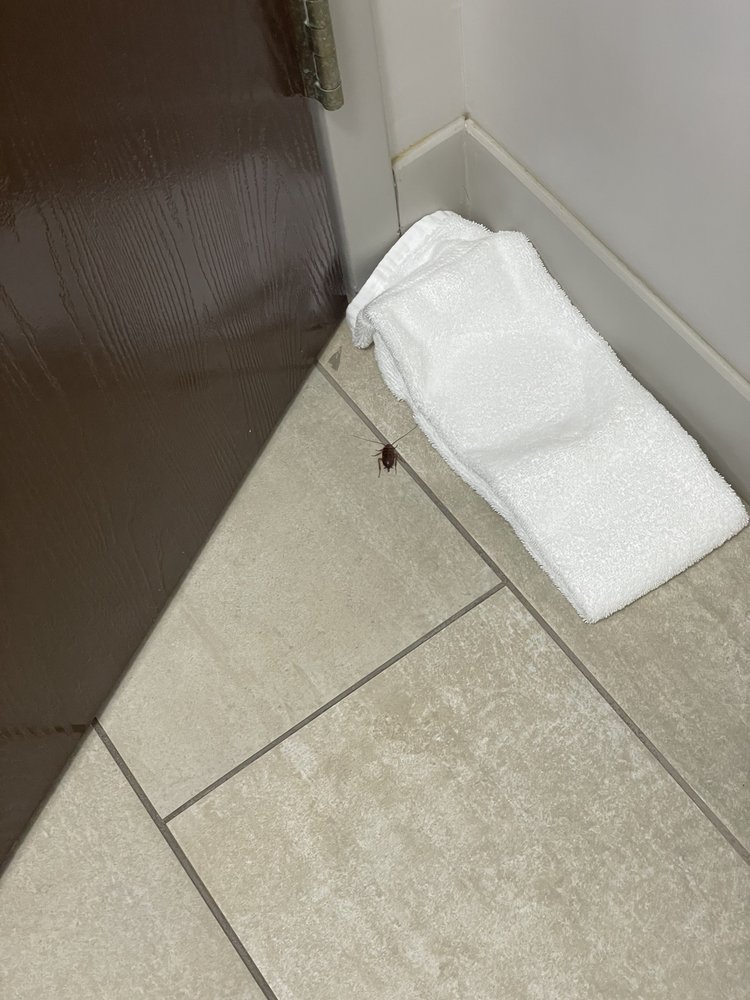 Holiday Inn Express & Suites Bartow