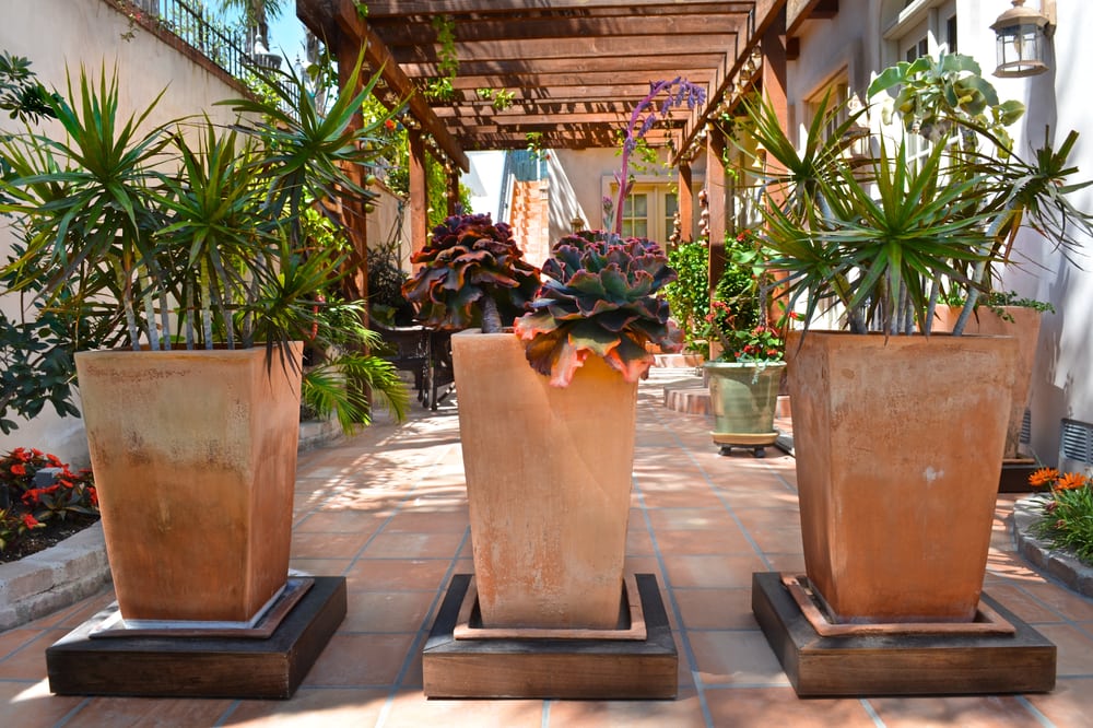 Gardens For All Seasons