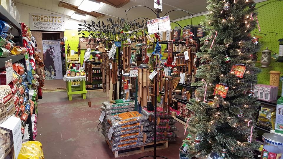 the feed store pet shops 6016 bell station rd glenn the feed store pet shops 6016 bell station rd glenn