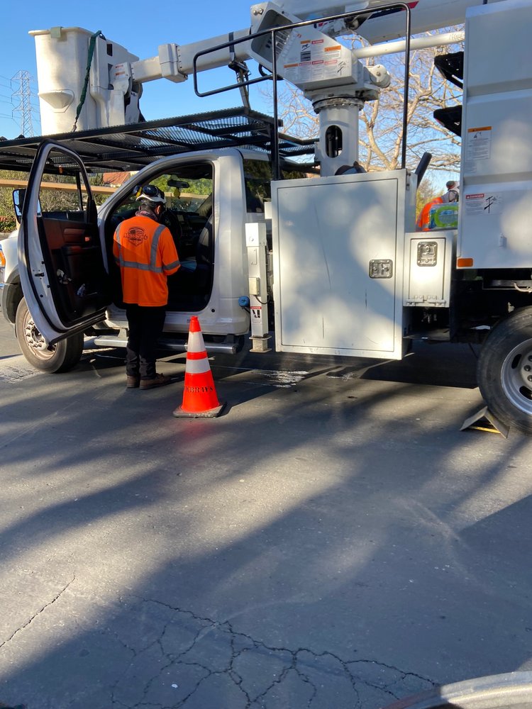 Mowbray Tree Service