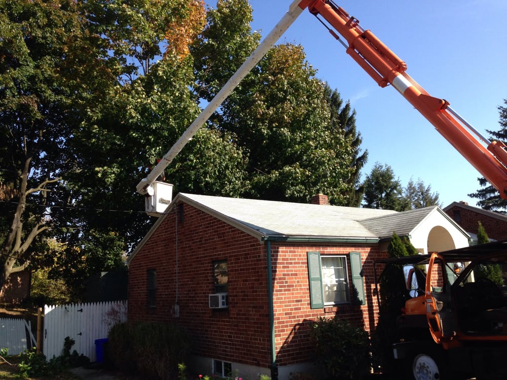 Skys The Limit Tree Services