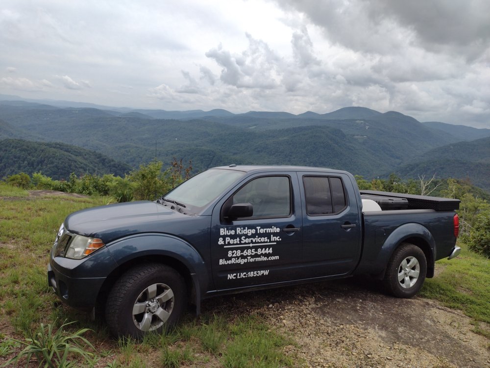 Blue Ridge Termite & Pest Services