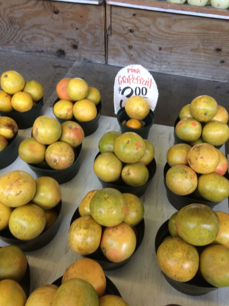 Photos for Rorabeck�s Plants &amp; Produce Yelp