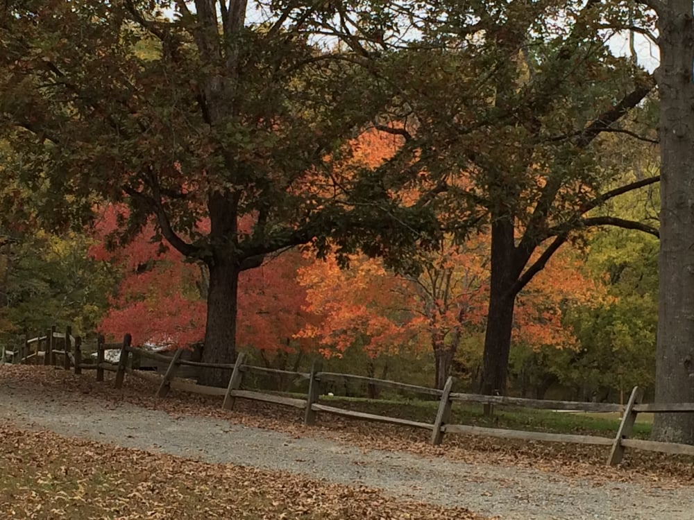 West Point on the Eno 20 Photos Parks 5101 N Roxboro Rd, Durham, NC Phone Number Yelp