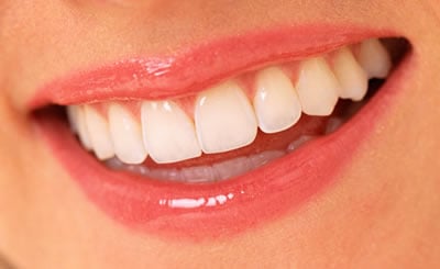 image of business Stevinson D Scott, DDS