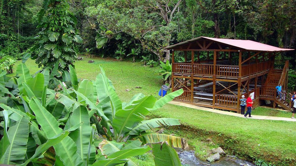 Best option home care puerto rico