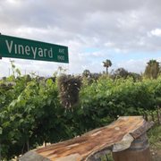 Newport Beach Vineyards Winery 68 Photos 22 Reviews Wineries Photo Of Newport Beach Vineyards Winery Ca United States