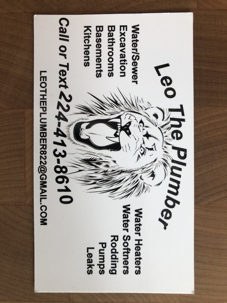 image of business Leo The Plumber