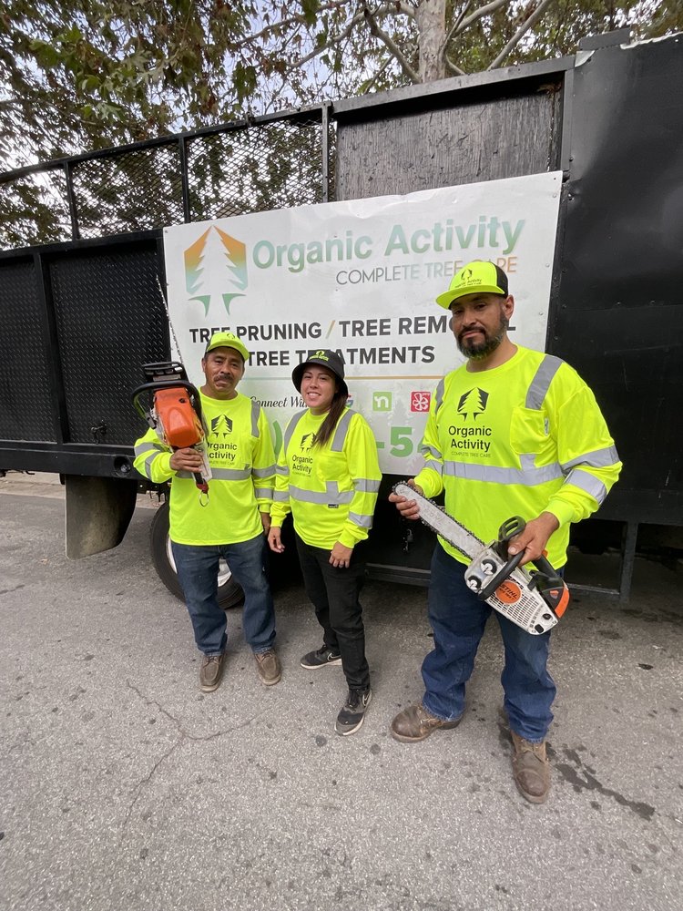 Organic Activity