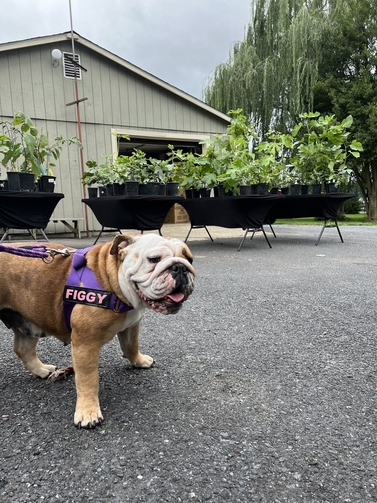 Off The Beaten Path Nursery