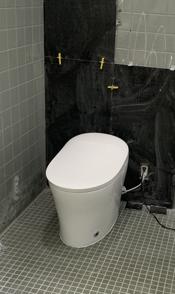 Back In-A Flush