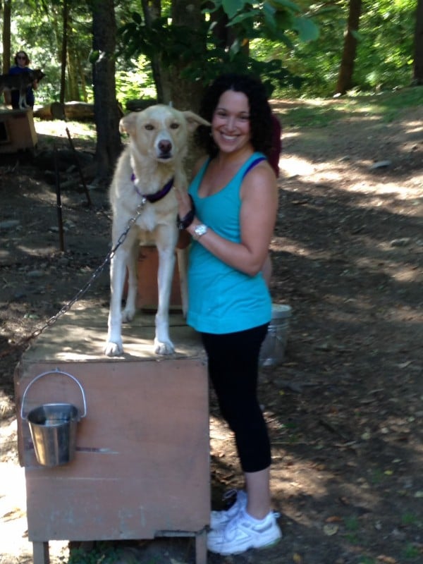 For Dog Training Pittsfield Ma For Dog Training Pittsfield Ma